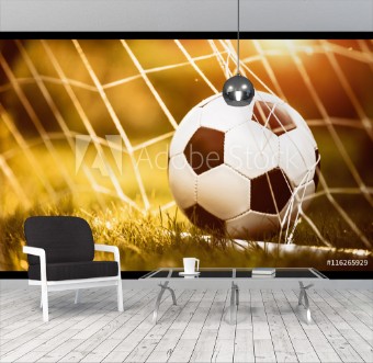 Picture of Soccer ball in goal